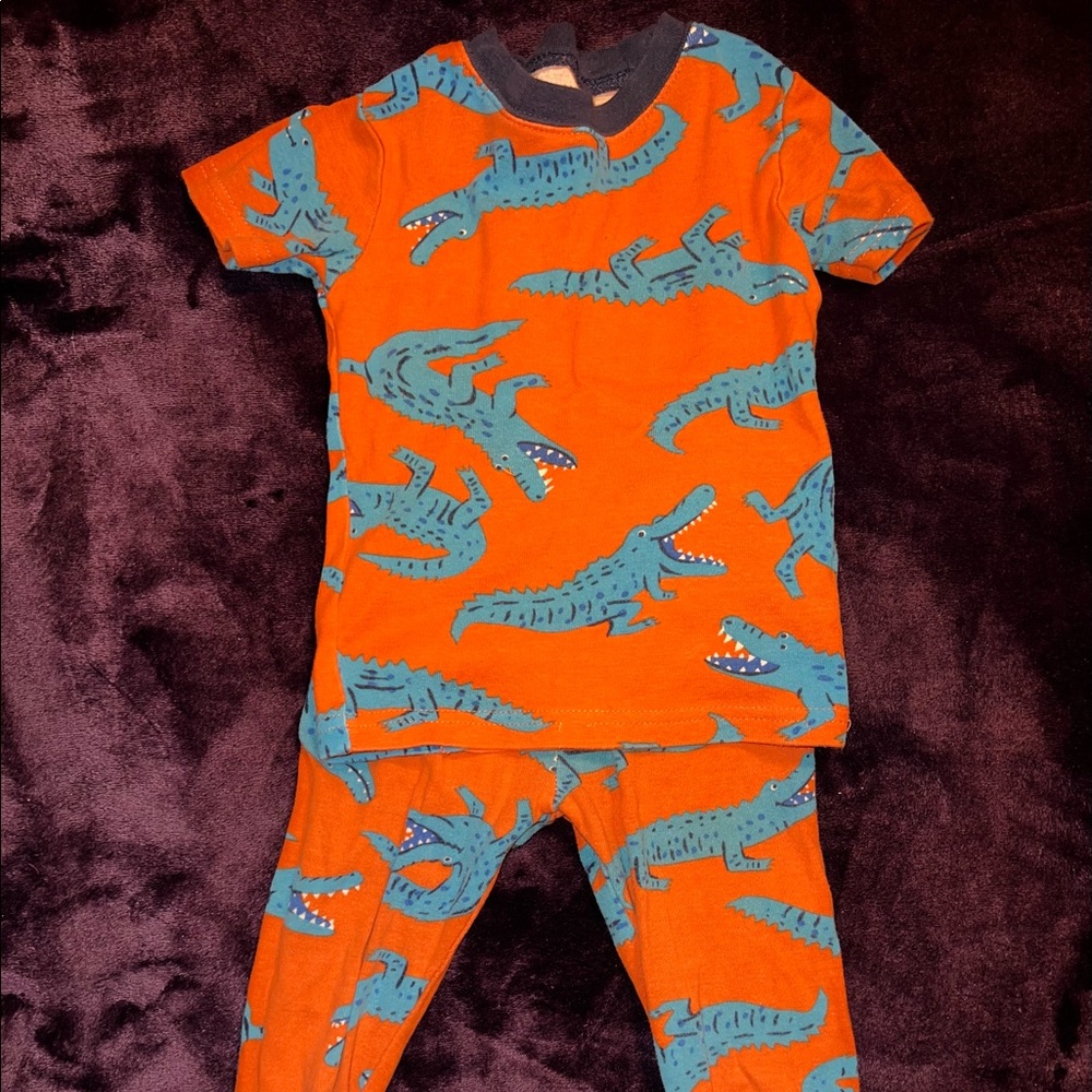 2T Alligator Jammie Set